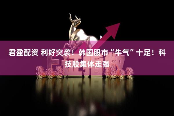 君盈配资 利好突袭！韩国股市“牛气”十足！科技股集体走强