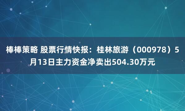 棒棒策略 股票行情快报：桂林旅游（000978）5月13日主力资金净卖出504.30万元