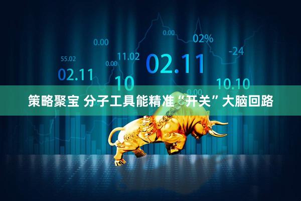 策略聚宝 分子工具能精准“开关”大脑回路