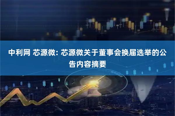 中利网 芯源微: 芯源微关于董事会换届选举的公告内容摘要