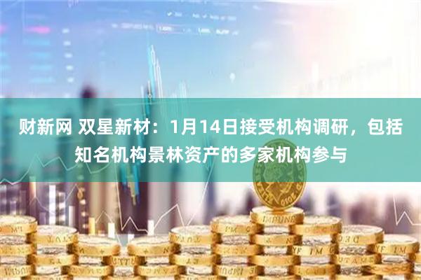 财新网 双星新材：1月14日接受机构调研，包括知名机构景林资产的多家机构参与