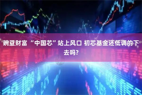 豌豆财富 “中国芯”站上风口 初芯基金还低调的下去吗?