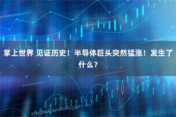 掌上世界 见证历史！半导体巨头突然猛涨！发生了什么？