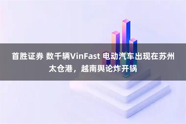 首胜证券 数千辆VinFast 电动汽车出现在苏州太仓港，越南舆论炸开锅